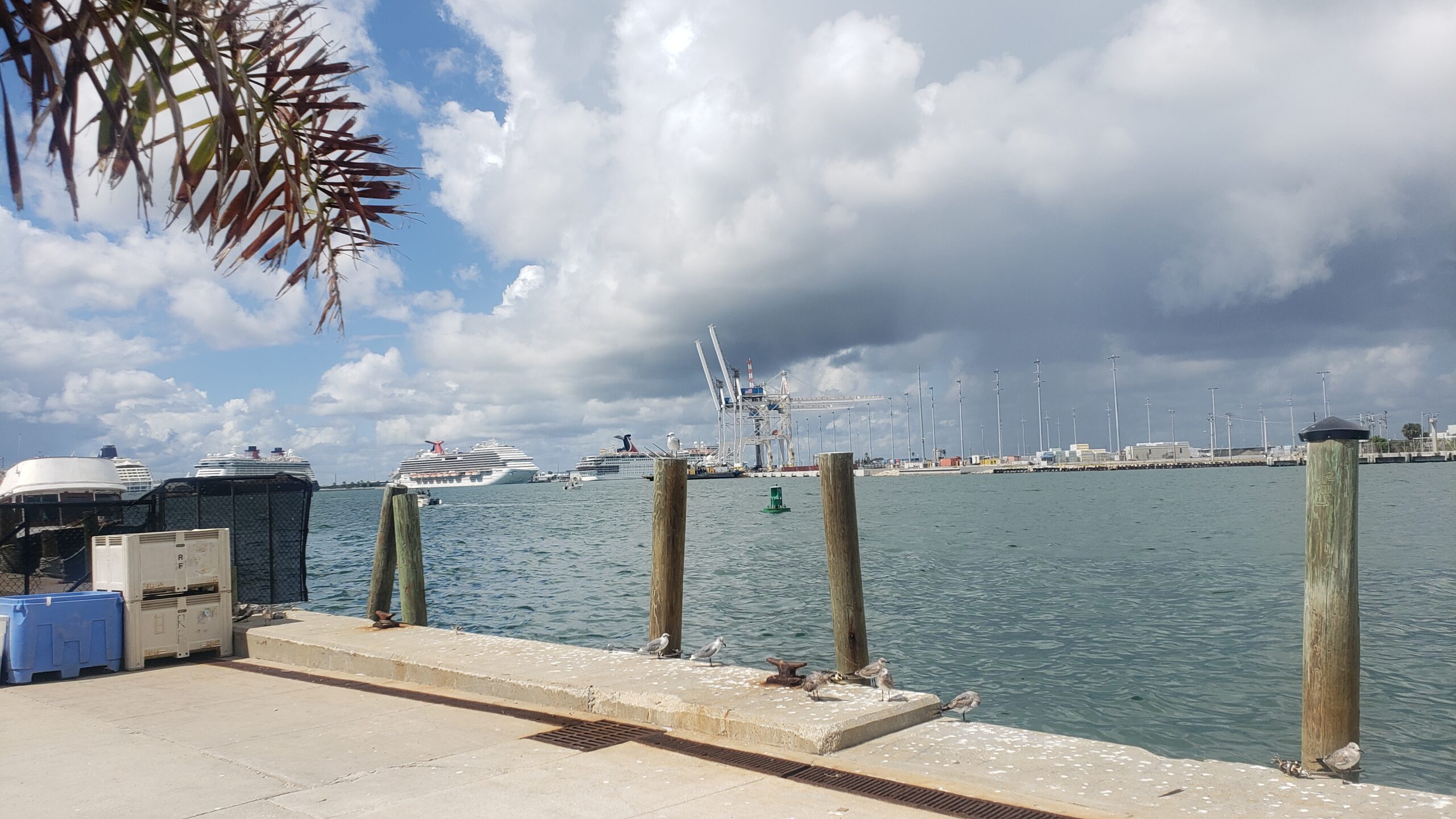 Cocoa Beach Waterfront Dining Village Food Tours Merchandise The Best In The Cocoa Beach Area